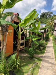 a group of houses in a forest with a banana tree at Beach Shack Chalet - Garden View Aframe Big Unit in Tioman Island