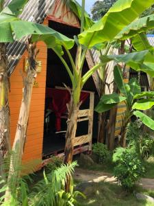 a small house with an open door in a forest at Beach Shack Chalet - Garden View Aframe Big Unit in Tioman Island