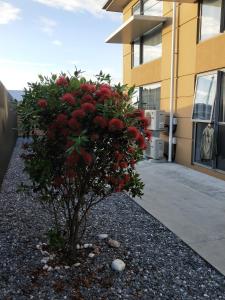 Budova, kde se motel nachází