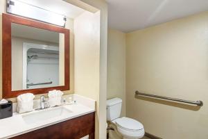 Gallery image of Comfort Suites Knoxville Airport in Alcoa