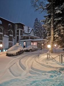 Saint George Borovets Hotel žiemą