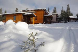 ヤブルニツァにあるКоттедж для отдыха Дискавериの雪に覆われた家