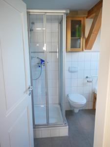 a bathroom with a shower and a toilet at Ferienlandhaus Zempow in Zempow +108 photos
