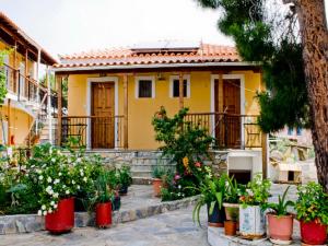 uma casa com vasos de plantas em frente em Villa Kavourakia em Kolios