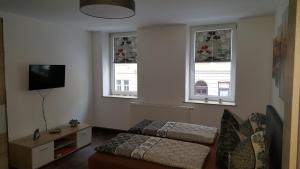 Habitación con 2 camas, TV y 2 ventanas. en Ferienwohnung oder Studio Dresden-Neustadt inkl Parkplatz mit Balkon oder Terrasse en Dresden