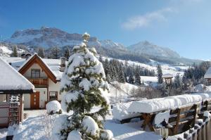 a snow covered christmas tree in front of a house at Chalet alla Cascata in Badia