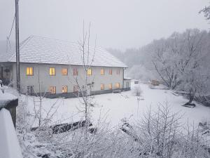 Grüne Wiese - Gäste-Minibungalow in der Edermühle v zimě