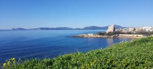 Afbeelding uit fotogalerij van Appartamento fronte porto in Alghero