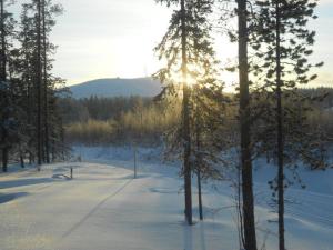 una escena de invierno con el sol brillando entre los árboles en Villa Ainotar, en Äkäslompolo