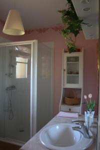 uma casa de banho com um lavatório e um chuveiro em La Rolandie Haute em Limeuil