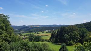 a view of a green field with trees and mountains at Hotel Zur Engelsburg in Hausen-Wied