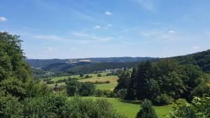 Blick auf ein grünes Feld mit Bäumen und Bergen in der Unterkunft Hotel Zur Engelsburg in Hausen-Wied