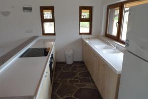 a kitchen with a sink and a refrigerator at Borislav's Farmhouse in Ogled
