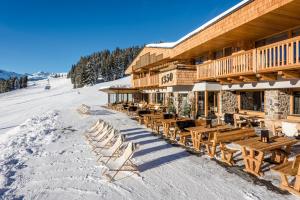 Die Alm 1350 v zime
