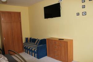 TV a/nebo společenská místnost v ubytování Begónia-dom s jednou spálňou