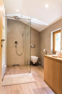 a bathroom with a shower and a toilet at Gorska Vila mountain villa in Soča