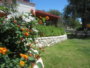 a garden with orange flowers and a stone wall at B&B Tor Di Lupo in Mattinata