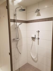 ein Bad mit einer Dusche mit einem Duschkopf in der Unterkunft Hotel Clemenswerther Hof in Sögel
