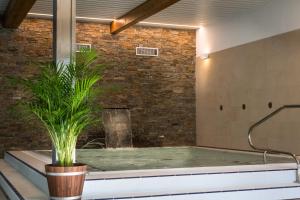 Fotografie z fotogalerie ubytování Wellness Hotel Holzberg v destinaci Suchá Rudná