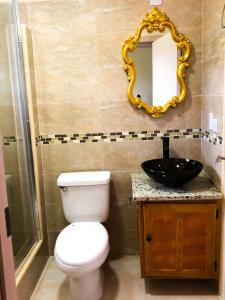 a bathroom with a toilet and a sink and a mirror at Calliandras Apartment Complex in Kingstown