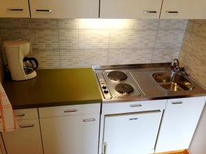 Kuchyň nebo kuchyňský kout v ubytování Apartments Urschitz