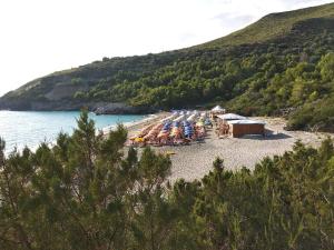 un grupo de barcos estacionados en una playa en Le Case di Arconte, en Marina di Camerota