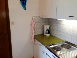 Kuchyň nebo kuchyňský kout v ubytování Apartments Urschitz