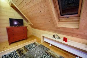 Televízia a/alebo spoločenská miestnosť v ubytovaní Łabowska Chata - Basen, Sauna, Grota solna