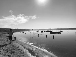 Gallery image of View Lagoon in Foz do Arelho