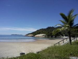 a beach with a palm tree and the ocean at Recanto da Conceição in Bombinhas