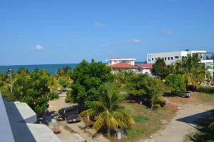 an aerial view of a parking lot with palm trees and the ocean at KhalKob's Estate in Placencia