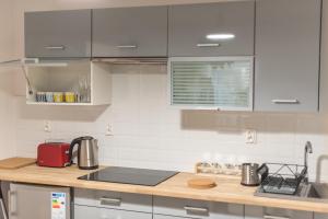 Kuchyňa alebo kuchynka v ubytovaní Apartamenty W Starym Ogrodzie