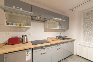 Kuchyňa alebo kuchynka v ubytovaní Apartamenty W Starym Ogrodzie