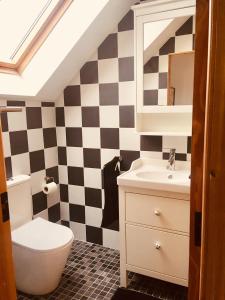 un bagno con un water e un lavandino di 2 Caragh Glen a Killorglin