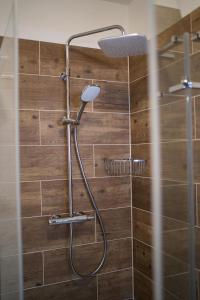 una ducha con cabezal de ducha en un baño en Apartmány Biela Púť - Jasná, en Demänovská Dolina