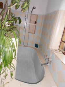 "Dulces Sueños" في كوتشابامبا: حمام مع حوض مع محطه بجانبه