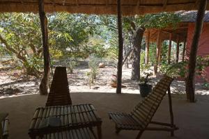 zwei Stühle auf einer Veranda mit Bäumen in der Unterkunft Campement île d'Egueye in Diakène Ouolof