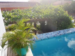 a view of a swimming pool with some plants at Guesthouse Curacao in Willemstad