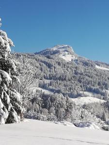 Haus Horngacher during the winter