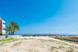 einen Sandstrand mit Palmen und dem Meer in der Unterkunft Encantador Dúplex Vacacional Reformado, Salzes 5, Frente a la Playa de Alcudia in Alcúdia
