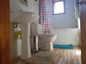 a bathroom with a sink and a toilet with a shower curtain at Hostal Maitahue in Pucón