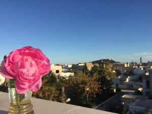 un fiore rosa in un vaso, seduto su un cornicione di Kélibia Paradise a Kelibia