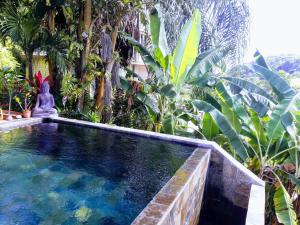 una piscina en un jardín con plantas en Muscade lodge, en Le Marin