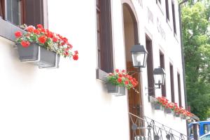 Gallery image of Hotel zum Ochsen in Furtwangen +16 photos