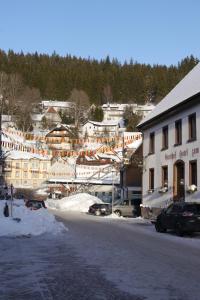 Gallery image of Hotel zum Ochsen in Furtwangen