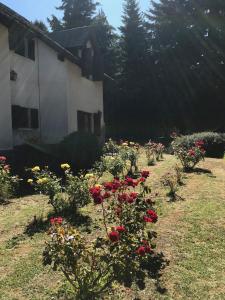 a garden of roses in front of a house at Posada del Angel in San Carlos de Bariloche