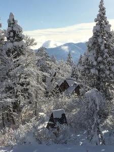 Myoko Ski Lodge in Akakura Village v zimě