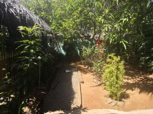 Giardino di Alass Ga For Pets Lovers