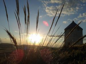 an old windmill in a field with tall grass at Apartamento La Guinda in Consuegra
