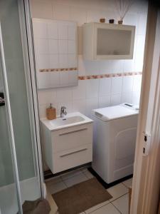 a small bathroom with a sink and a washing machine at Cosy T2 38m2 - Centre-Ville Dijon- Gare/Darcy in Dijon